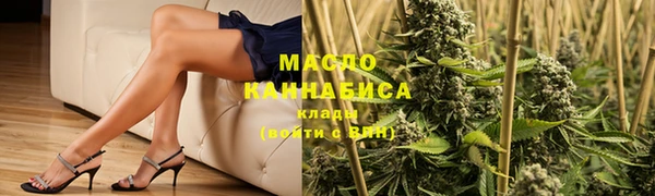 индика Вяземский